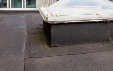 disadvantages of Trochelhill flat roofs
