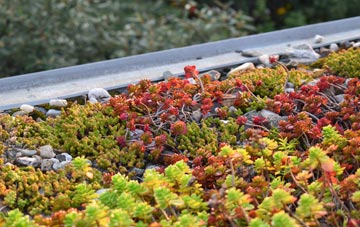 the cost of Trochelhill green roof installation