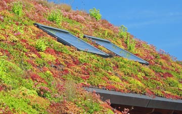Trochelhill living roof systems