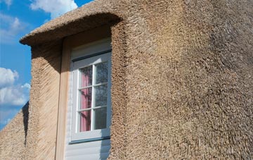 Trochelhill thatch roof disadvantages