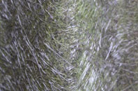 Trochelhill fibreglass roof work